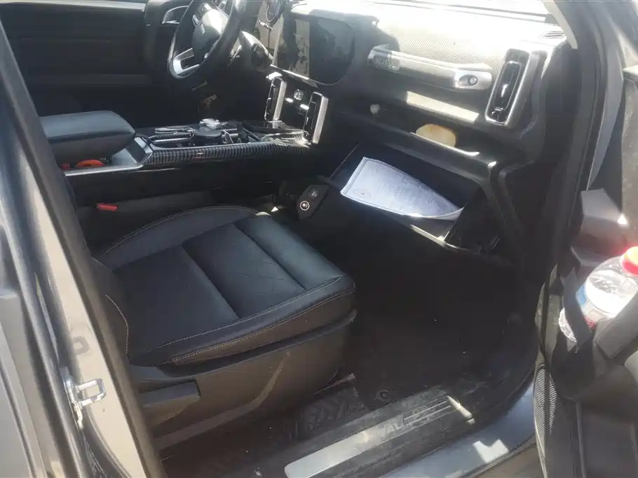 Haval Big Dog 2021 1.5T DCT 2WD Border Collie Edition фото 8