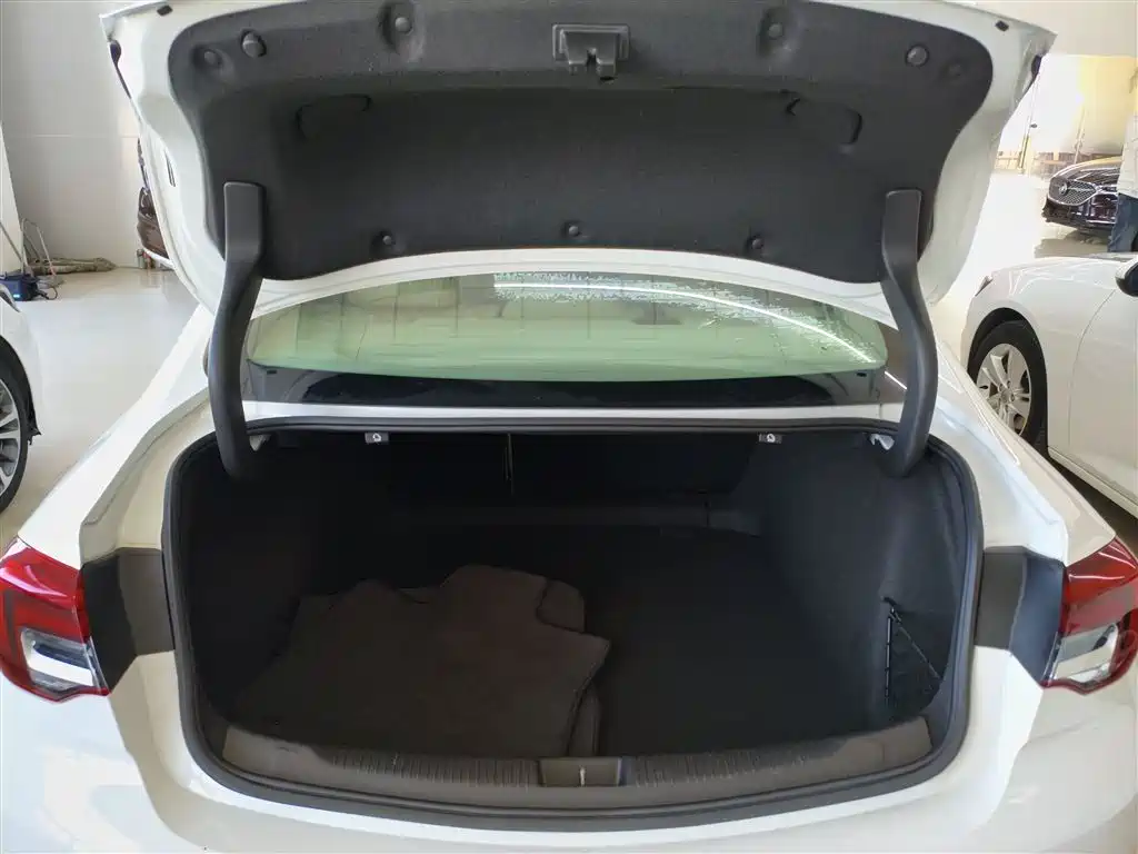 Buick Regal 2020 552T Elite фото 19