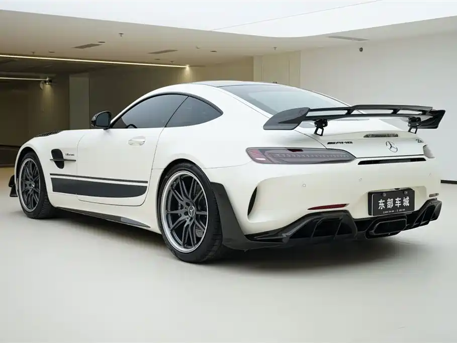 Mercedes-Benz AMG GT 2019 AMG GT R PRO фото 4