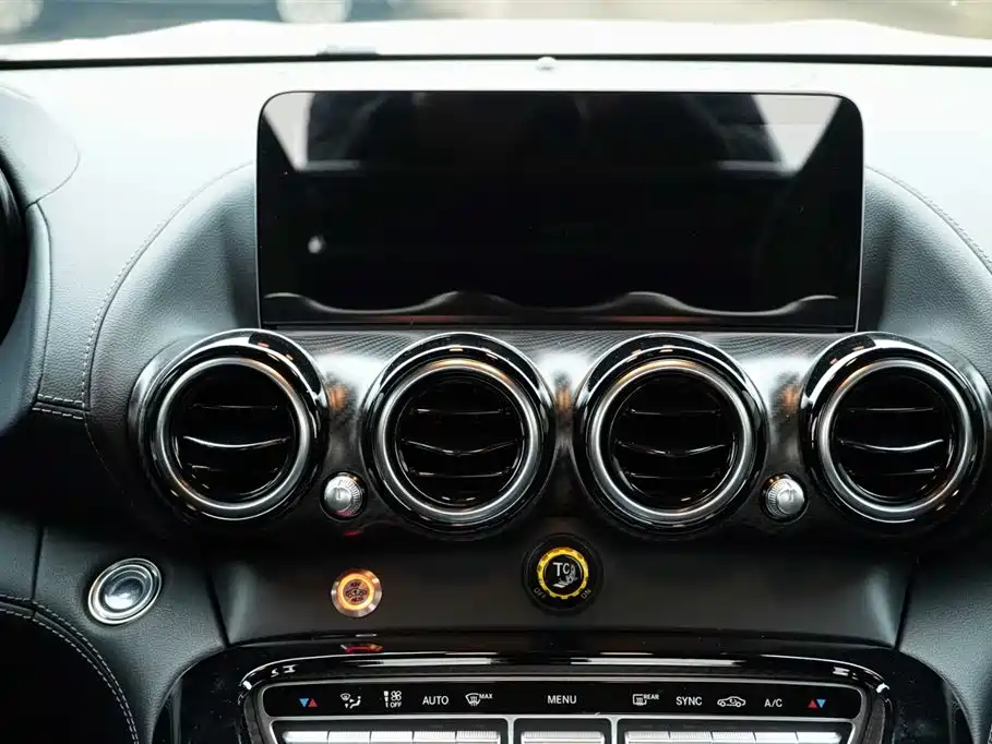 Mercedes-Benz AMG GT 2019 AMG GT R PRO фото 27