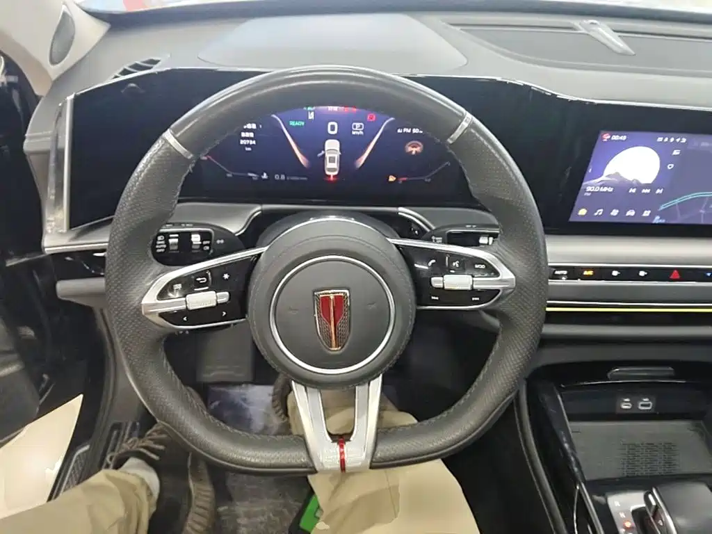 Hongqi H9 2025 2024 2.0T Qi Enjoy Private Fashion Edition