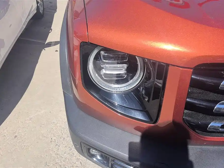 Haval Big Dog 2021 2.0T DCT 4WD Chinese Rural Dog Edition фото 5
