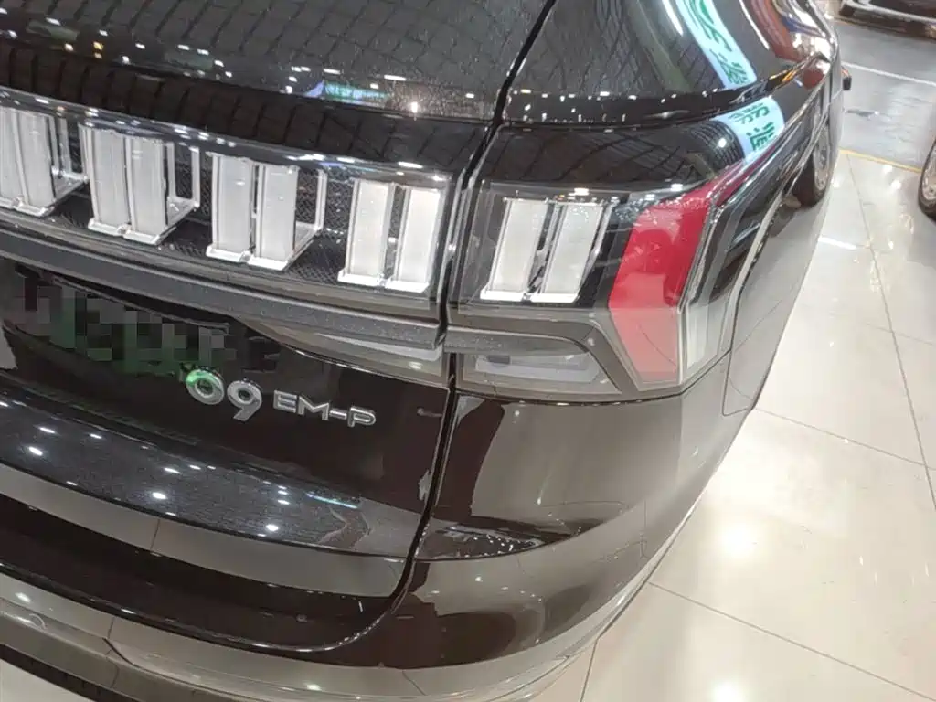 Lynk & Co 09 EM-P 2024 2.0TD EM-P AWD ULTRA 6-Seater фото 8