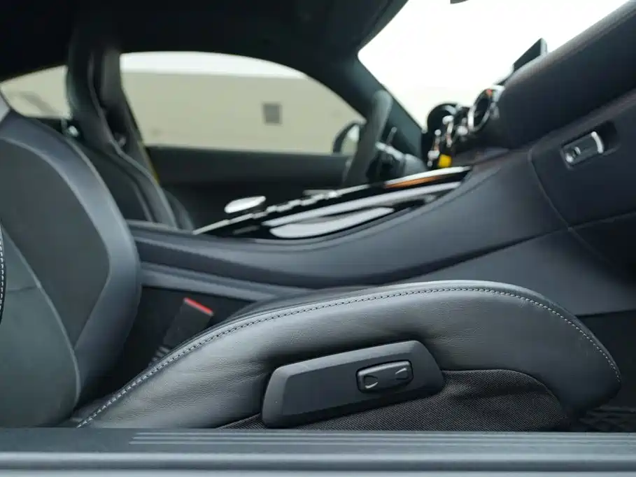Mercedes-Benz AMG GT 2019 AMG GT R PRO фото 28