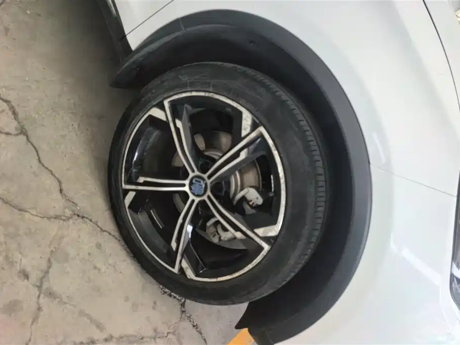 BYD Tang New Energy 2021 DM-i 112KM Premium фото 6