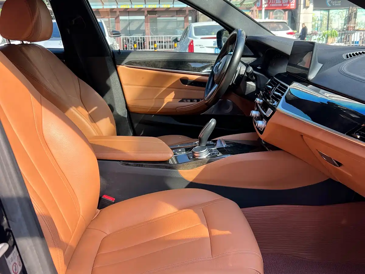 BMW 5 Series 2020 530Li Leading M Sport Package фото 12