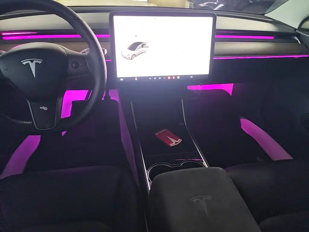 Tesla Model 3 2020 2020 Standard Range Rear-Wheel Drive Upgrade