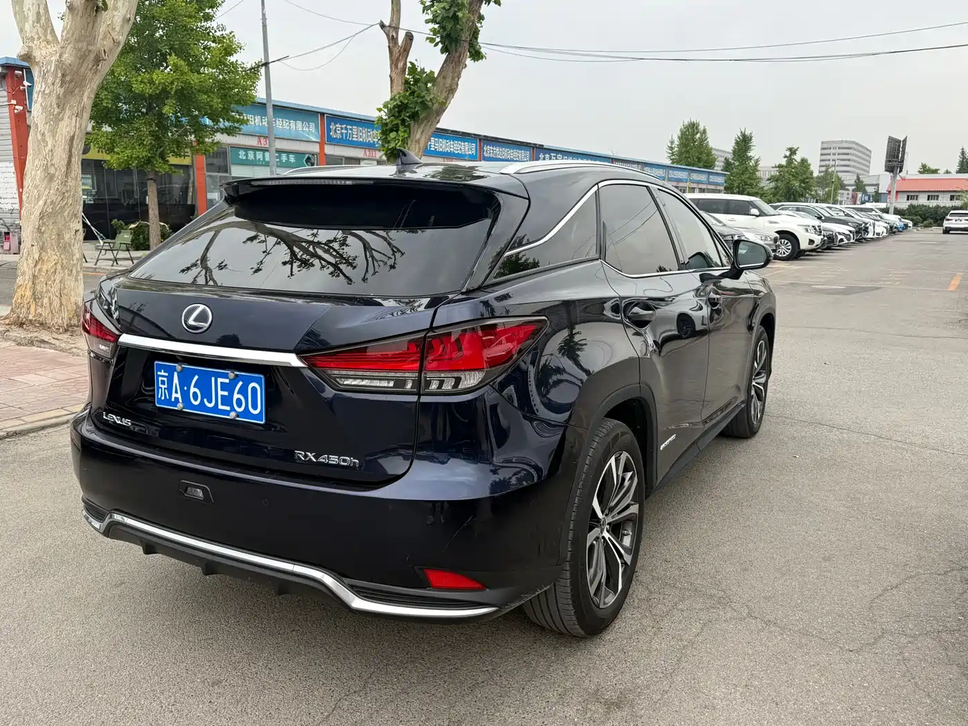 Lexus RX 2020 450h 4WD Elegance Edition China VI фото 15