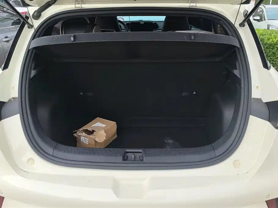 BYD Dolphin 2021 Model 405km Fashion Edition фото 4