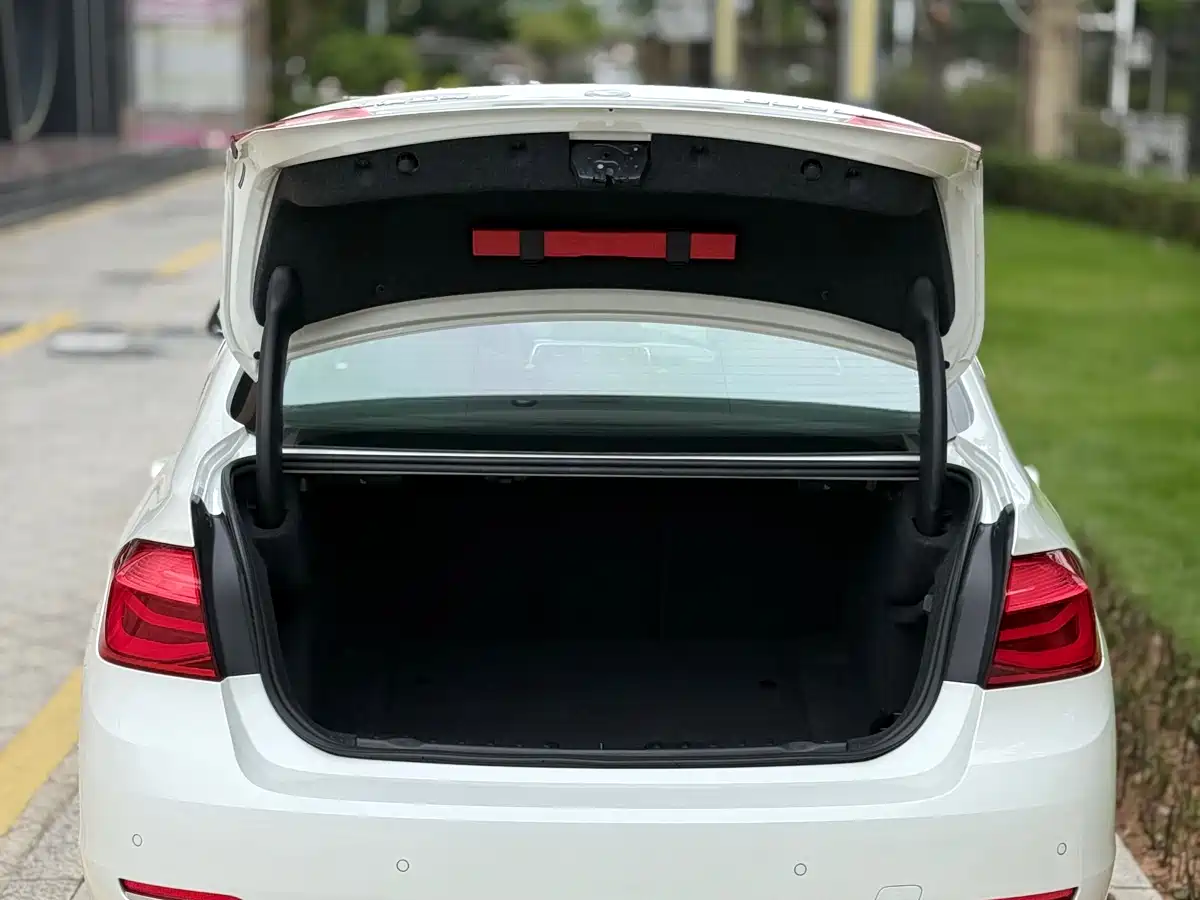 BMW 3 Series 2018 320Li Fashion Style фото 16