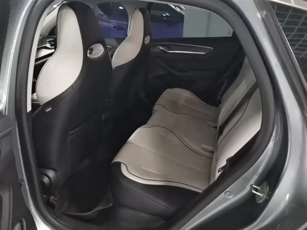 BYD Destroyer 05 2024 Glory Edition DM-i 55KM Luxury фото 17