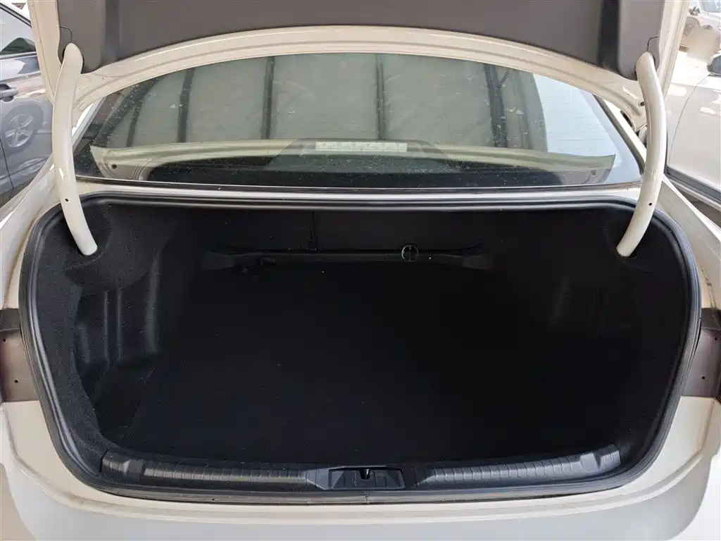 VOLKSWAGEN LINGDU