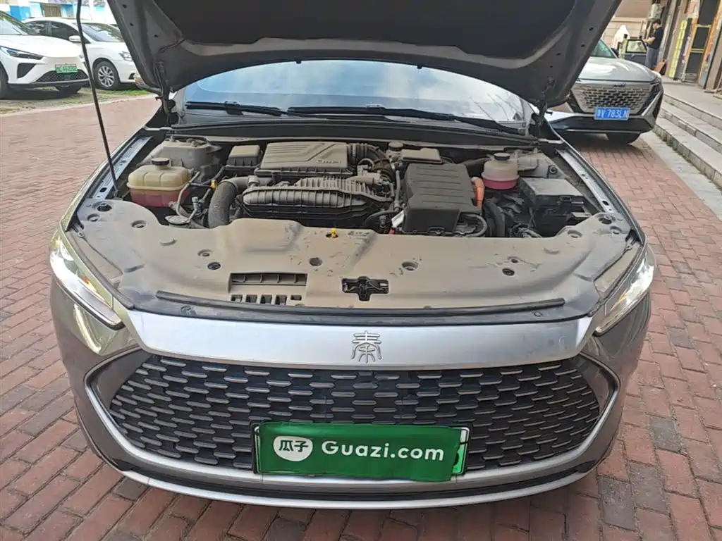 BYD Qin PLUS 2021 DM-i 55KM Flagship фото 20
