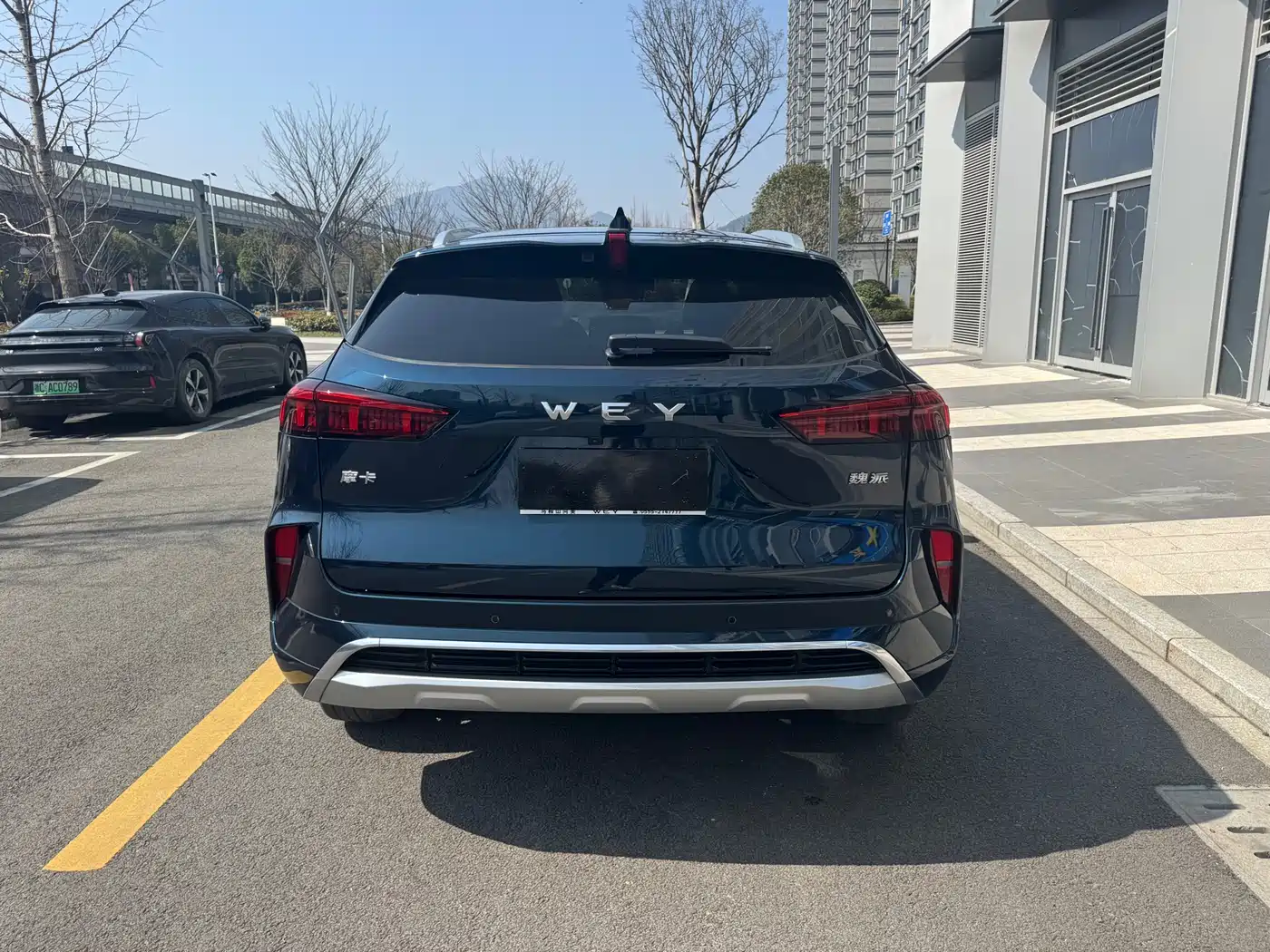 WEI PAI WEI BRAND MOCHA