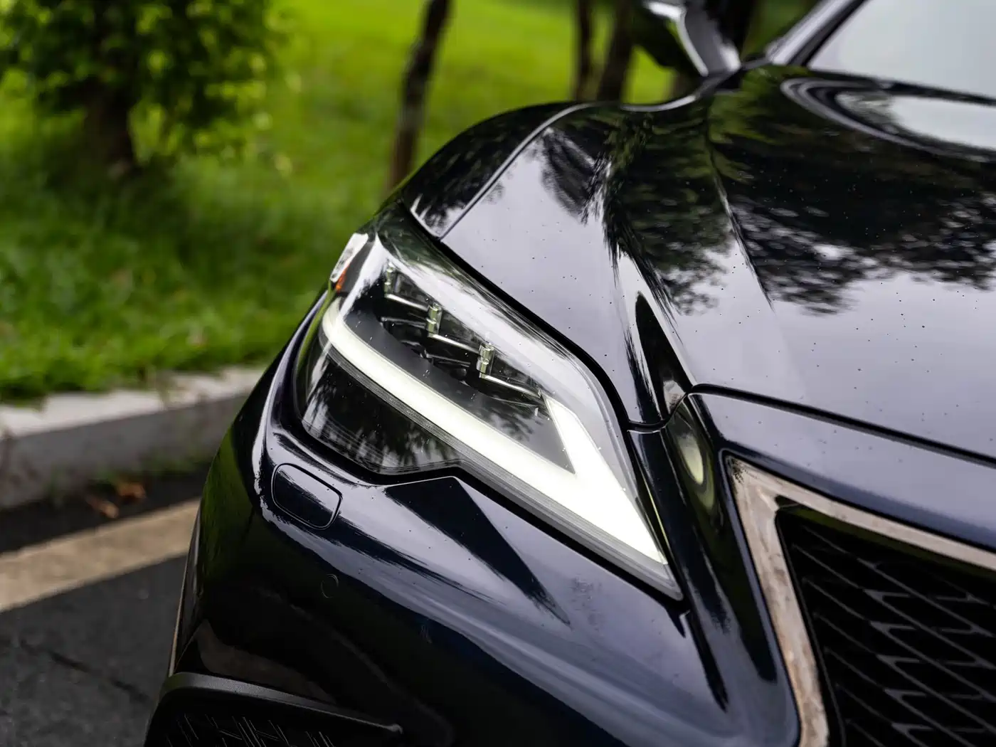 Фото 6 - Lexus LS