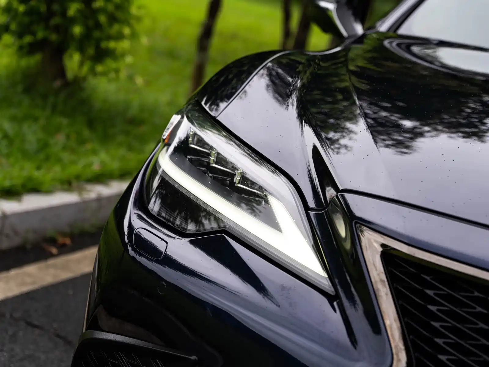 Фото 6 - Lexus LS