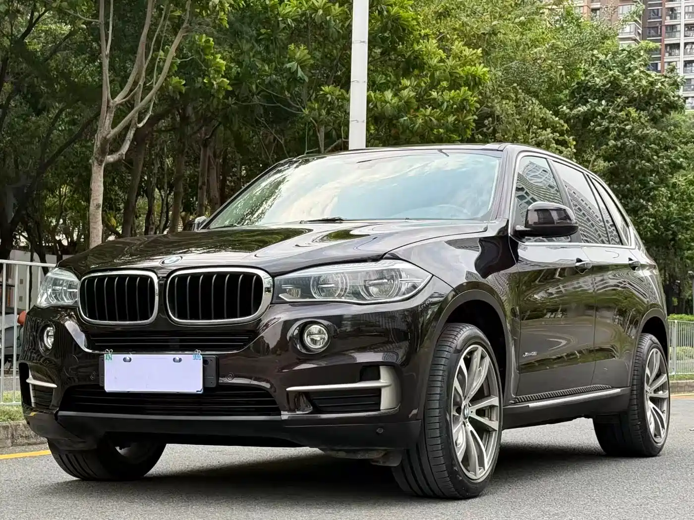 BMW X5 (Import) 2017 xDrive35i Leading Edition