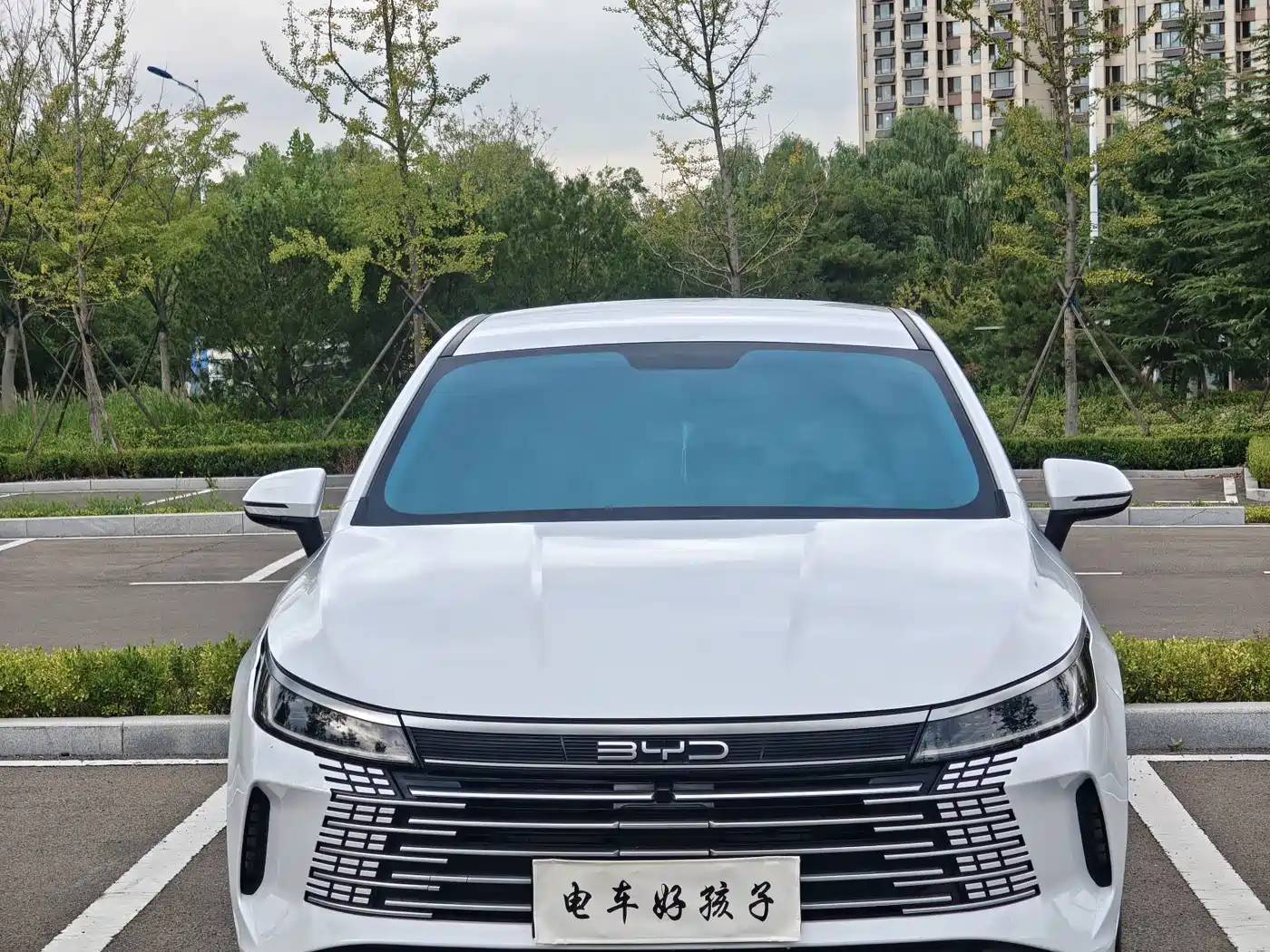 Photo 2 - BYD Destroyer 05
