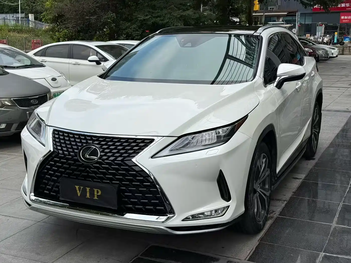 LEXUS RX