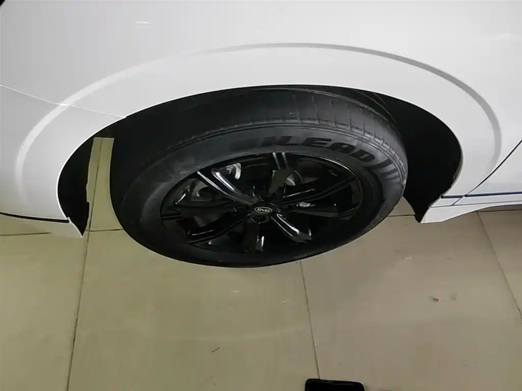 BYD e2 2021 Luxury Edition фото 23