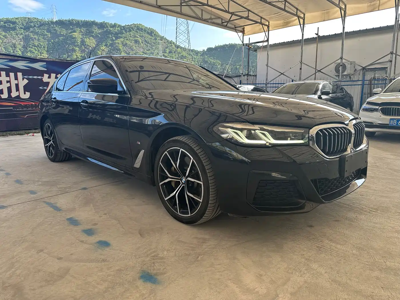 BMW 5 Series 2021 530Li Leading Luxury Package фото 14