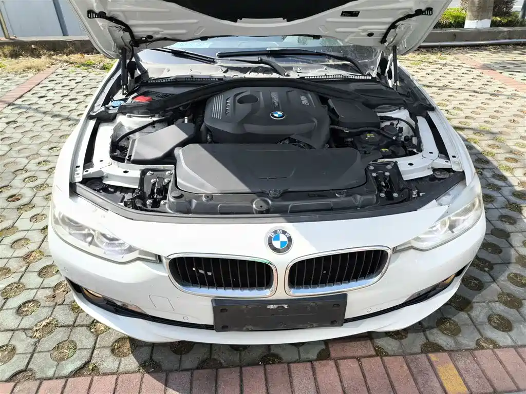 BMW 3 Series 2017 320Li xDrive Fashion фото 20