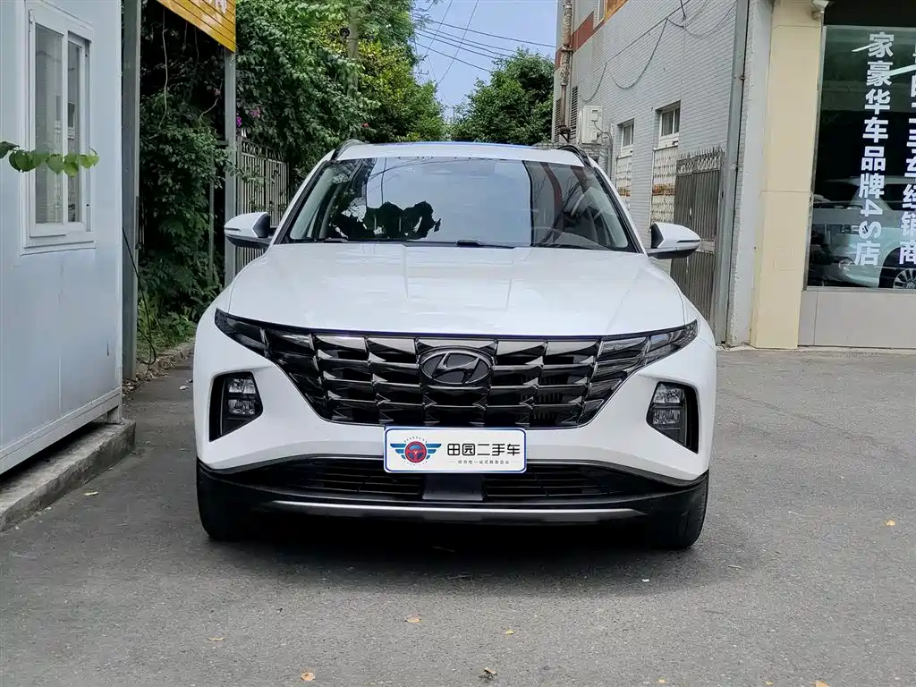 Hyundai Tucson 2021 Tucson L 1.5T DCT LUX Premium фото 2