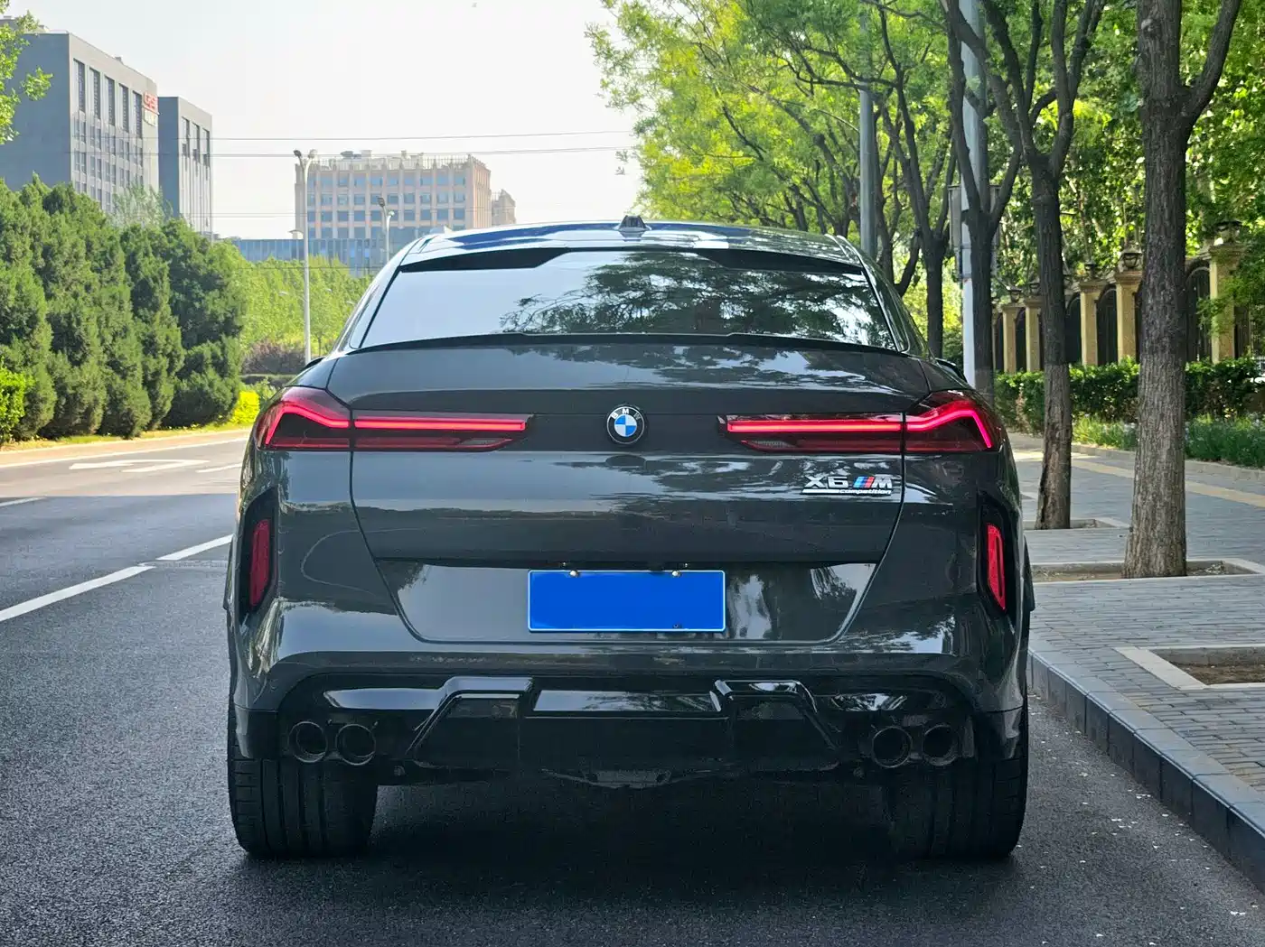 BMW X6M