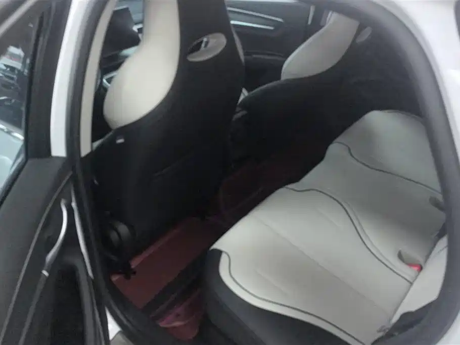 BYD Destroyer 05 2024 DM-i 55KM Pilot Glory Edition фото 11