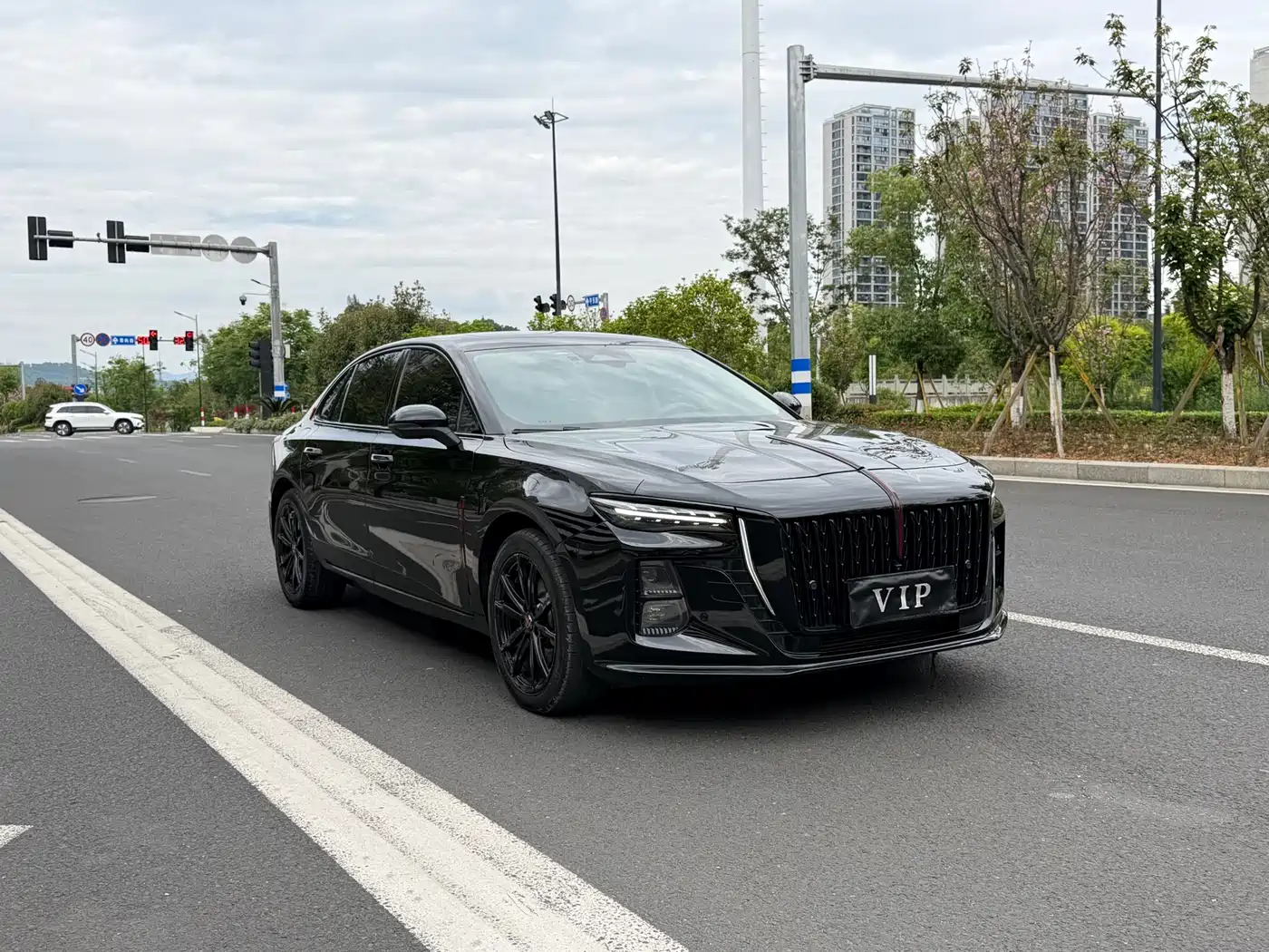 Hongqi H5 2025 2.0T Automatic Mystic Shadow фото 3