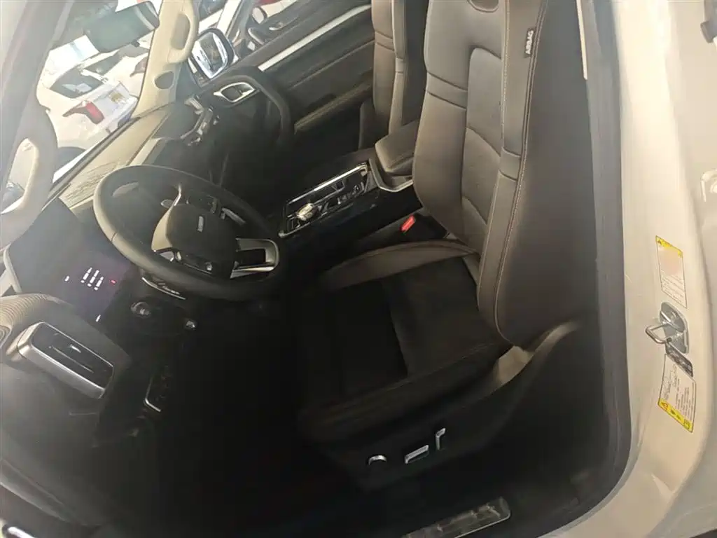 Haval Big Dog 2022 1.5T DCT FWD Border Collie Edition фото 15