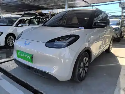 Wuling Bingo