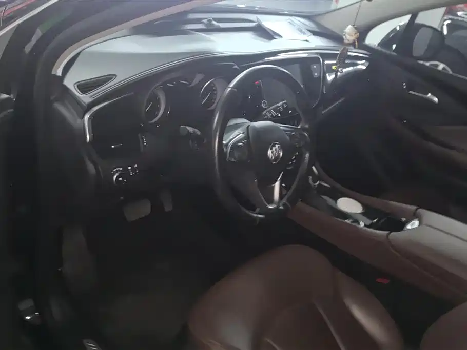 Buick Envision Plus 2020 20T FWD Luxury фото 12