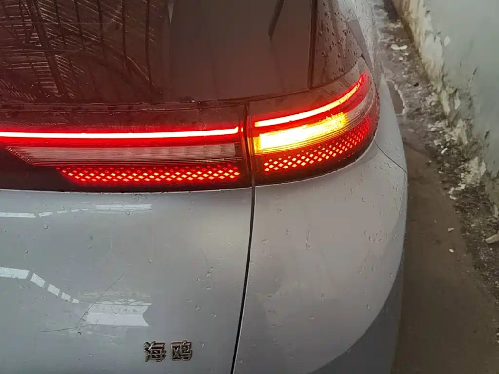 BYD Seagull 2026 2025 Smart Drive Edition 305km Vitality Version