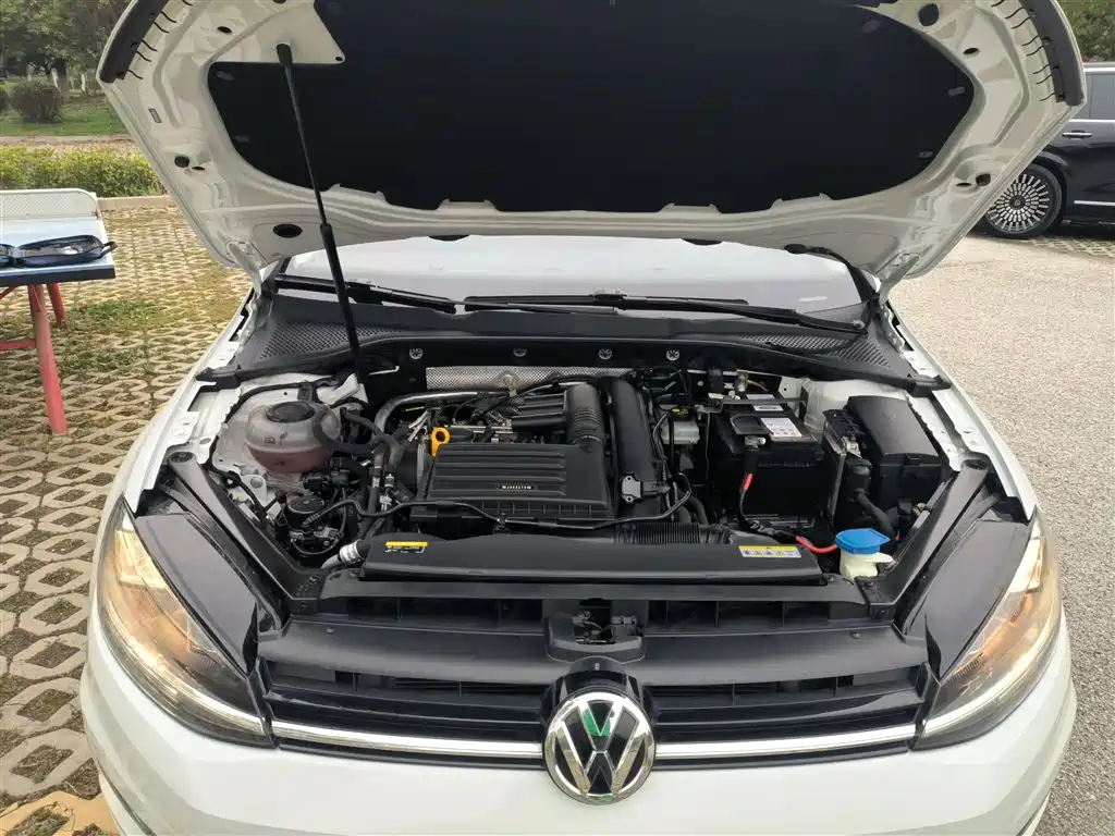 Volkswagen Golf 2020 Beloved Edition 280TSI DSG Comfort фото 20