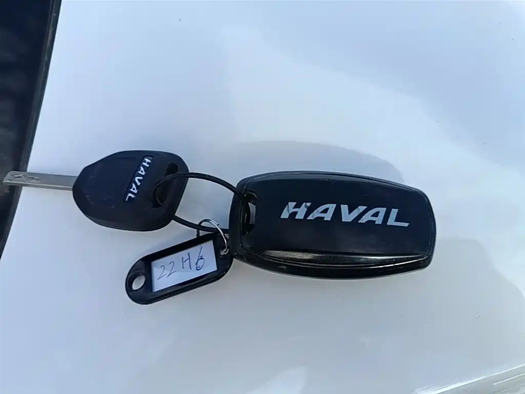 Haval H6 2021 National Trend Edition 1.5T Automatic Urban Edition фото 9