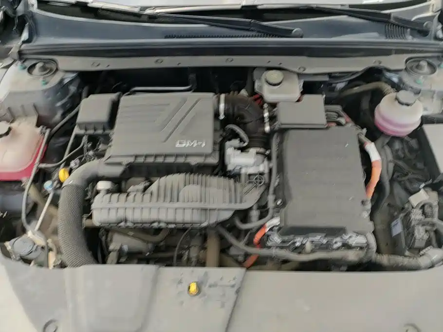 BYD Destroyer 05 2025 2024 Glory Edition DM-i 55KM Luxury