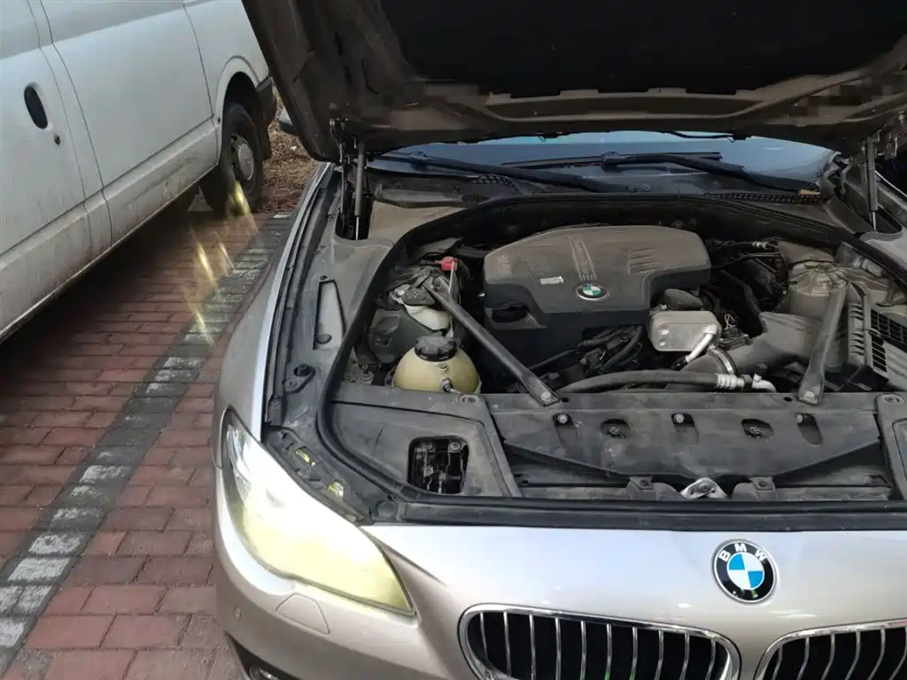BMW 5 Series (Import) 2014 520i Classic фото 21