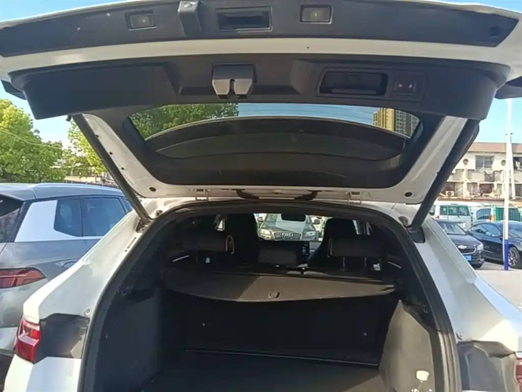 BYD Song PLUS PHEV 2021 DM-i 110KM Flagship фото 19