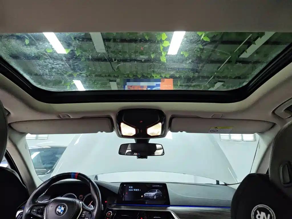 BMW 5 Series 2018 530Li xDrive Luxury Package фото 25