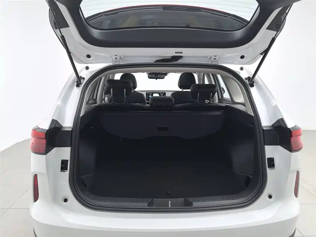Haval H6 2021 3rd Generation 2.0T Auto AWD Max фото 16