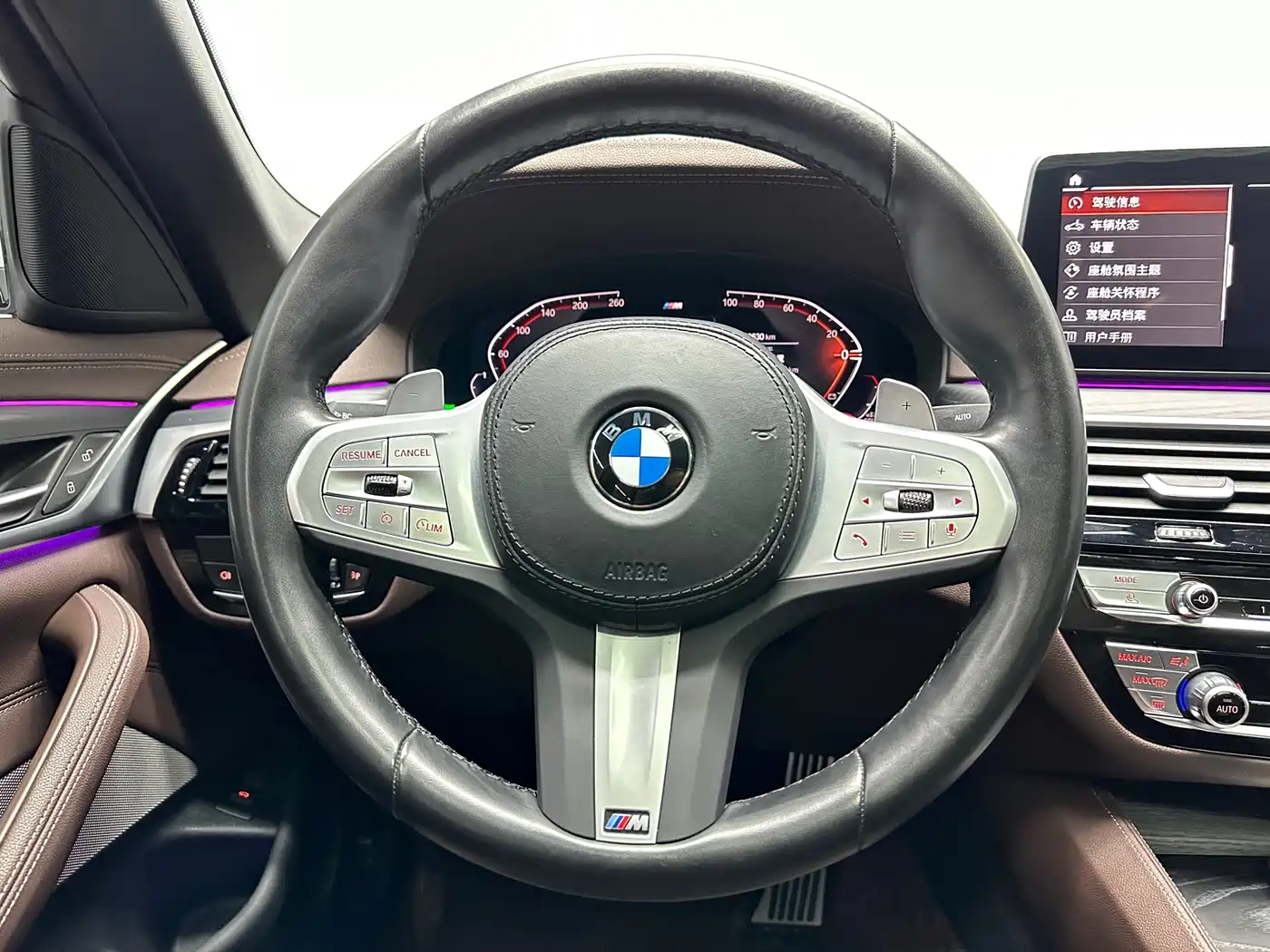 BMW 5 Series 2023 530Li Leading M Sport Package фото 21