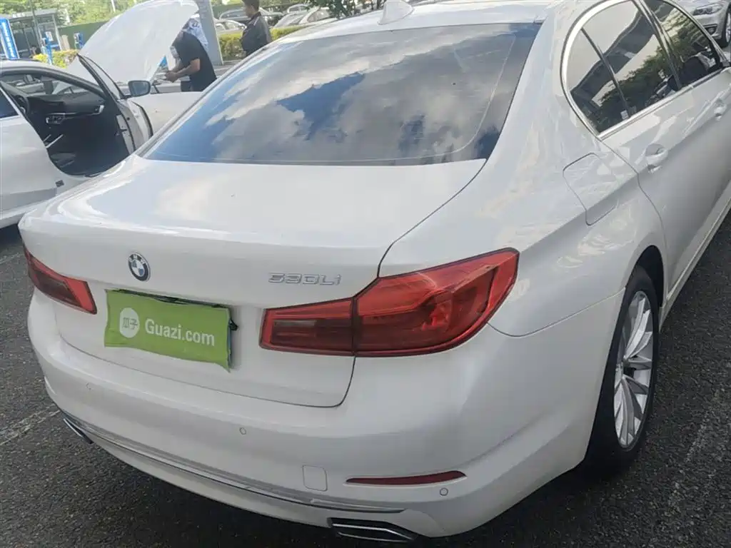 BMW 5 Series 2020 530Li xDrive Luxury Package фото 10