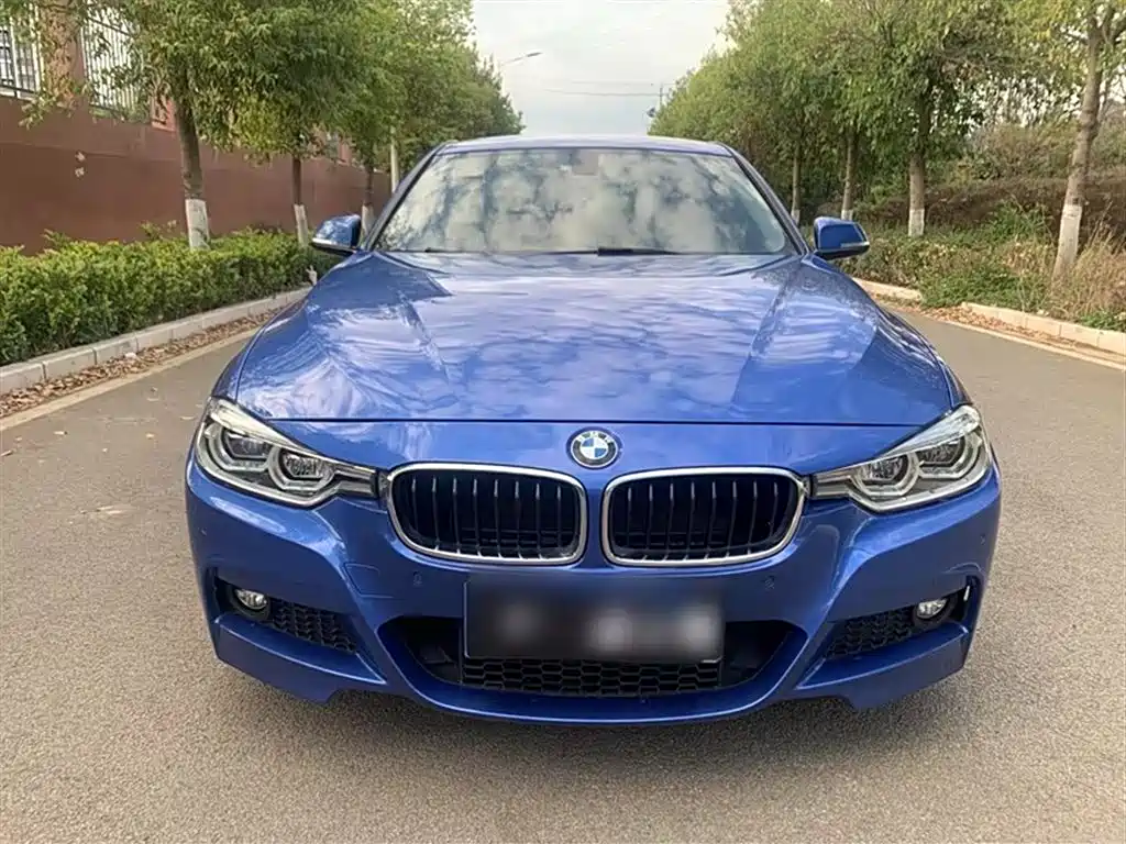 BMW 3 Series 2018 320Li Leading M Sport Package фото 8