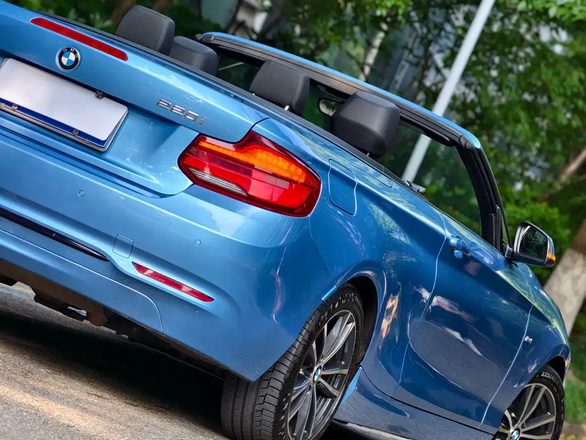 BMW 2 Series (Import) 2018 220i Convertible Coupe Sport Design Package фото 3