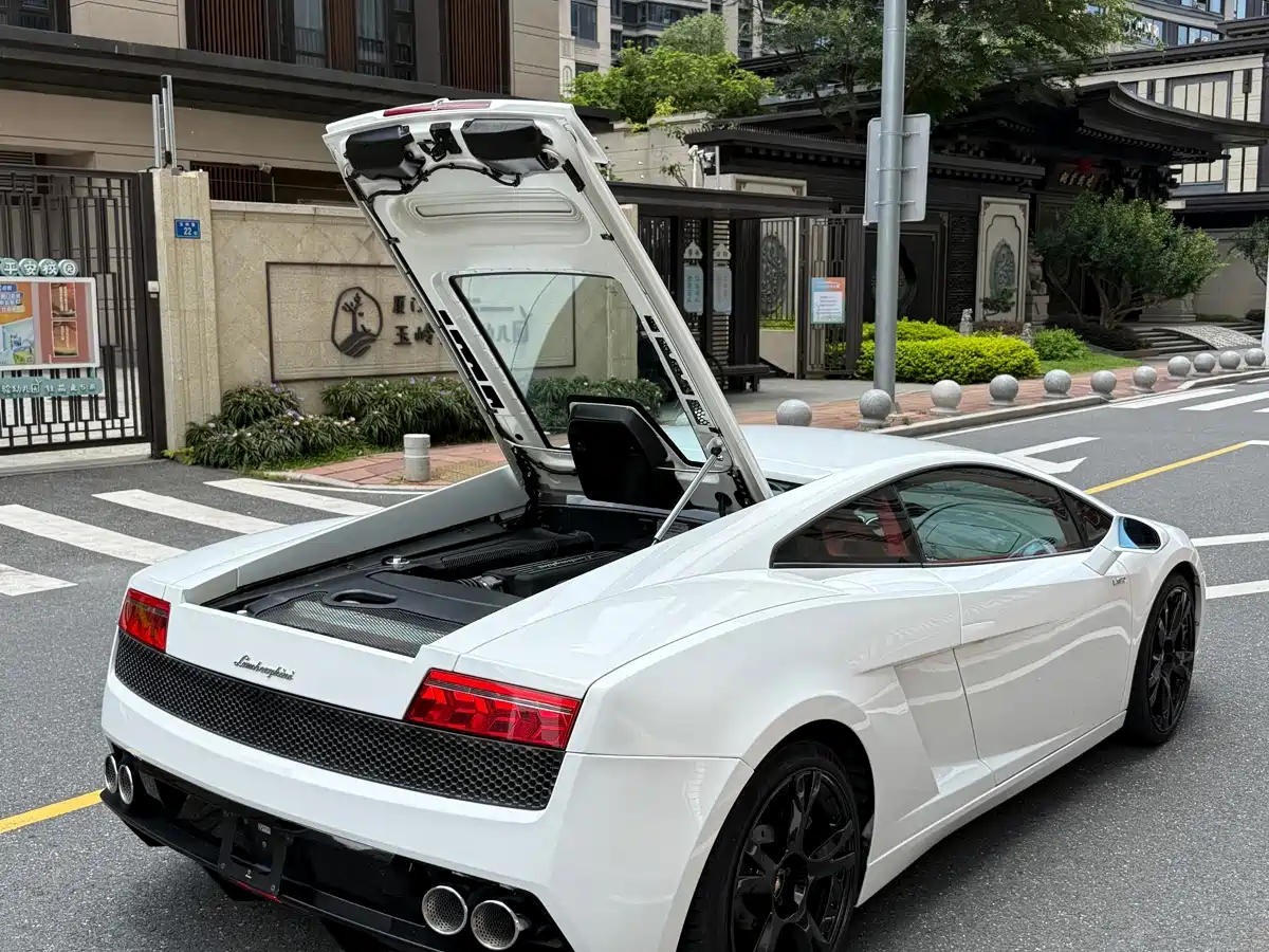 Lamborghini Gallardo 2009 2008 LP 560-4