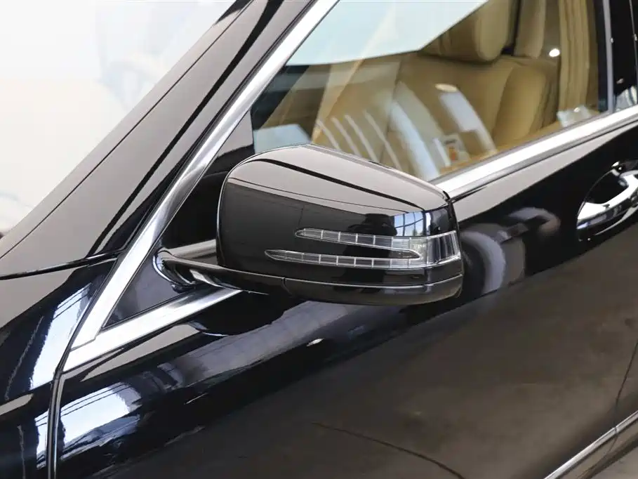 Mercedes-Benz S-Class AMG 2010 AMG S 65 фото 32