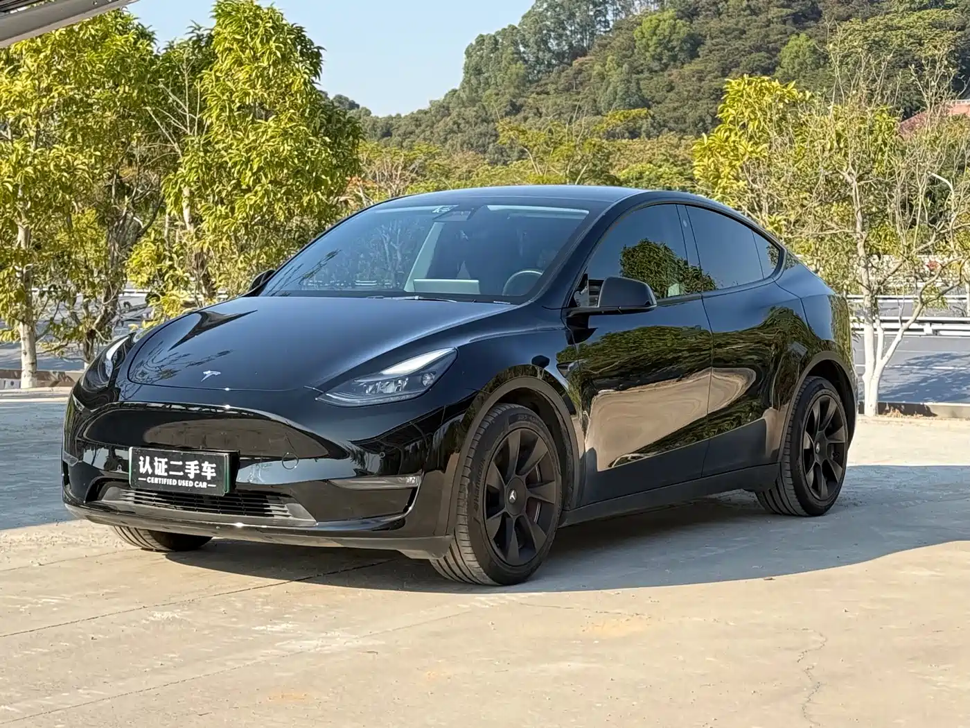 TESLA MODEL Y