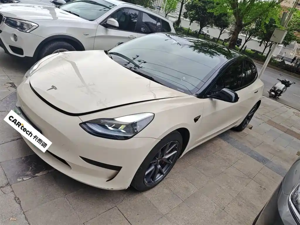  Tesla Model 3 2021 Standard Range Rear-Wheel Drive Upgrade 3D6