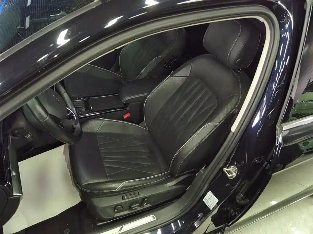 Volkswagen Passat 2023 330TSI Starlight Luxury Edition фото 15